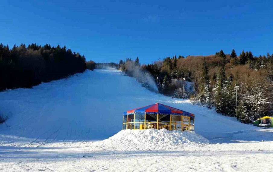 Витоша ски сезира органите за нарушения в сервитутната зона на кабинковия лифт Симеоново-Алеко