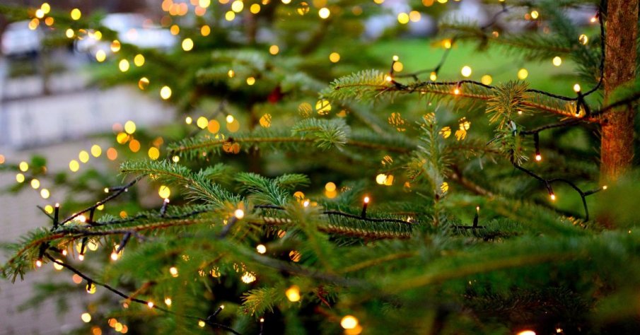 Потреблението на ток е било рекордно по празниците