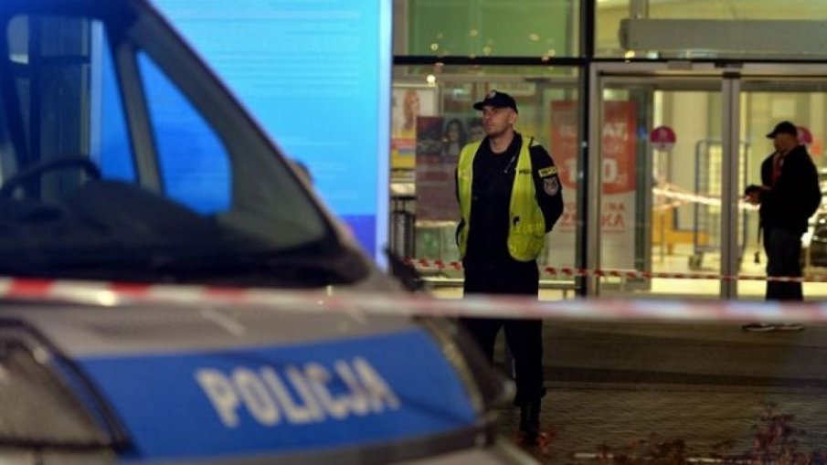 Специален патрул оказва помощ на животните, стресирани от гърмежите за празника във Варшава