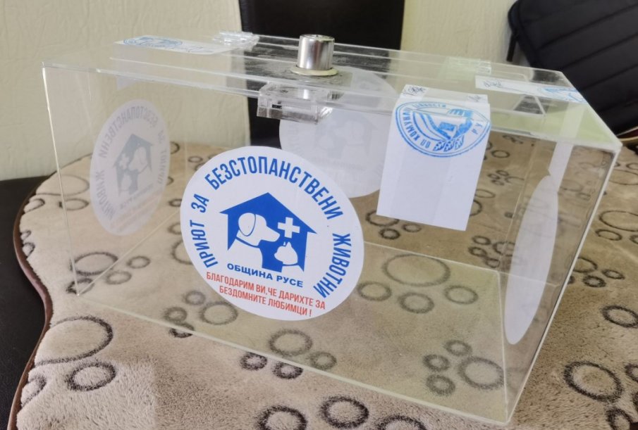 Прокуратурата се самосезира за отнемане на кутия с дарения за болни и бездомни животни