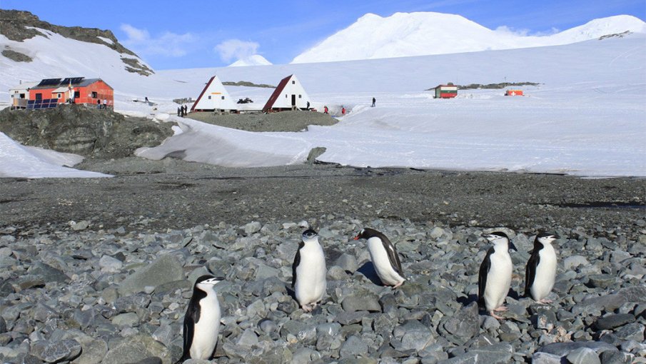 Двама български геолози ще работят по научен проект на Антарктида.