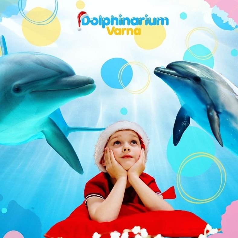 Делфинарумът във Варна очаква децата този уикенд