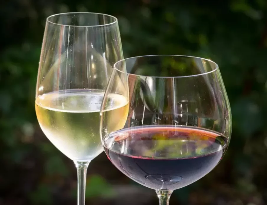 Червеното вино предпазва от коронавирус, сочи ново изследване. Пиенето на