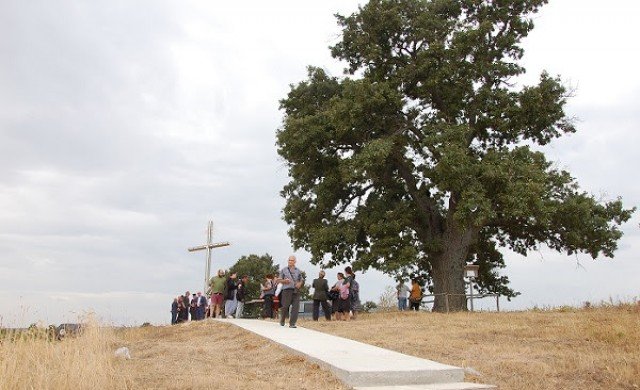 350-годишен дъб ще представя България в конкурс за дърво на годината