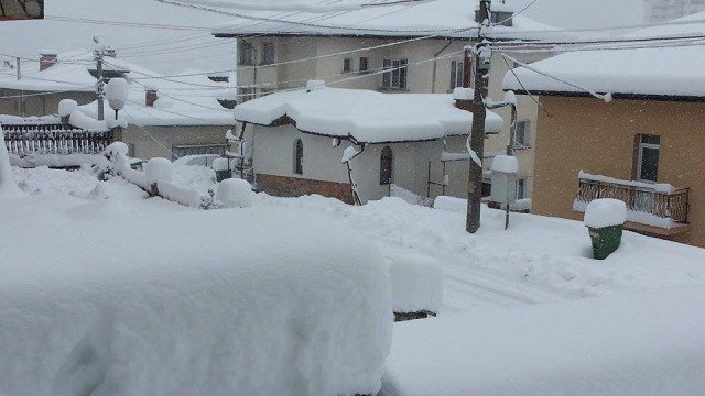 Заради обилния снеговалеж в община Ивайловград в пет села -