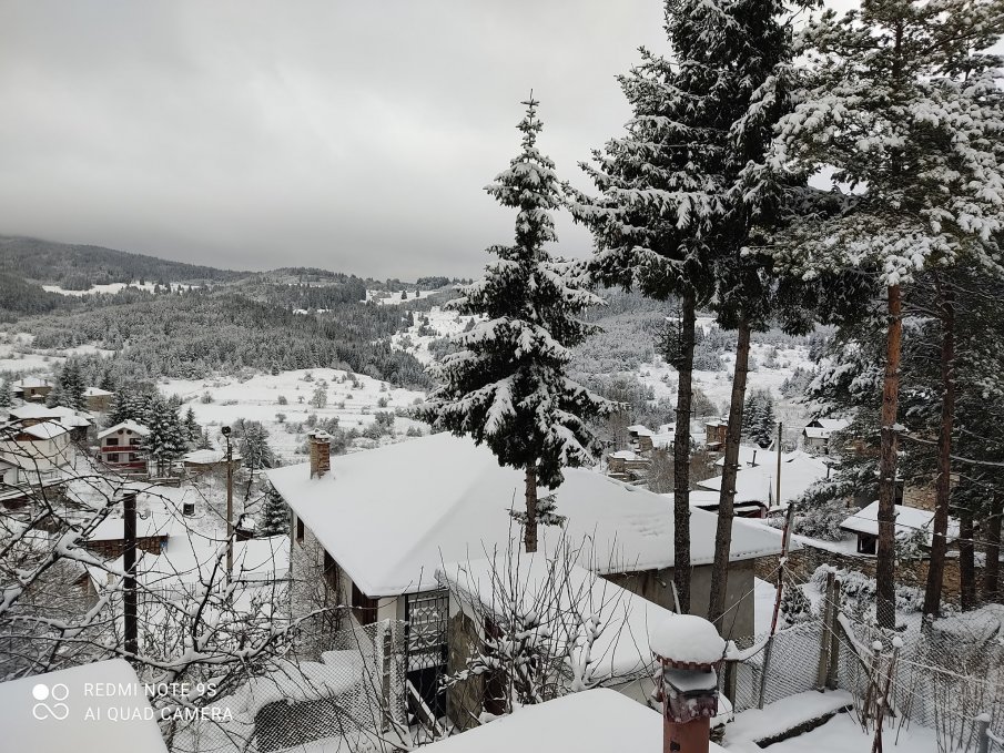 Зимната обстановка в населените места от предимно планинската Община “Родопи”