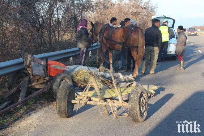 Мъж загина след удар между кола и каруца край Симеоновград