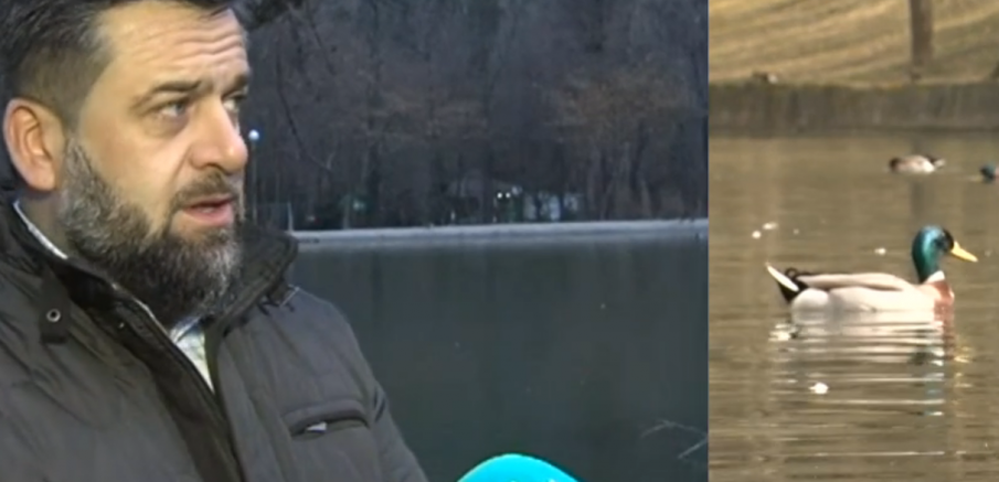 Изрод застреля 17 патици в парка Бачиново в Благоевград
