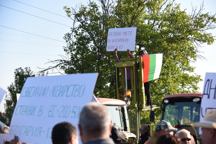 Лозарите се вдигат на протест, катастрофалното законодателство ги съсипва