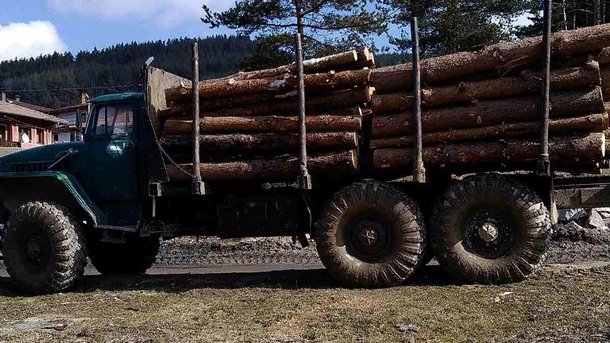 Агенцията по горите извърши 3500 проверки, написа 200 констативни протокола