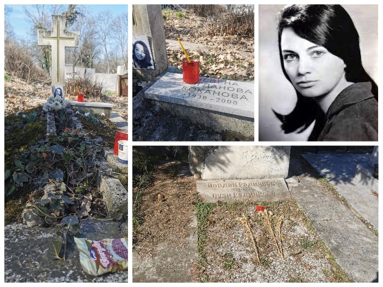 САМО В ПИК И РЕТРО: Гробът на Коканова запуснат и потънал в плесен (СНИМКИ)