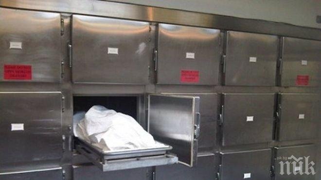 Учени разкриха защо труповете се движат и след смъртта