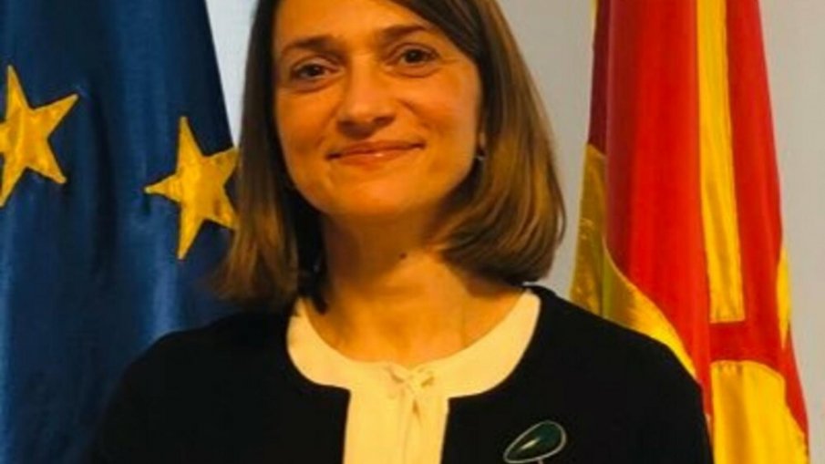 Скопие си избра посланик у нас