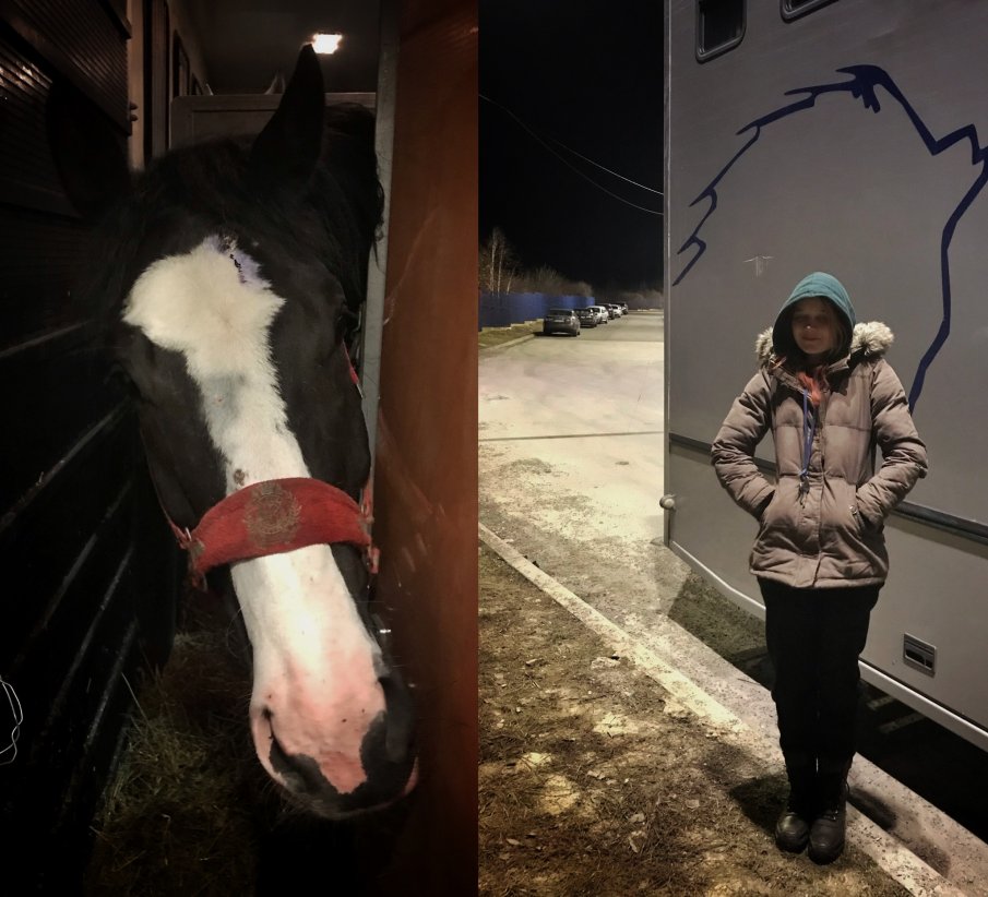 Смелата Аня от Украйна спаси от смърт пет коня, два паднаха жертва на руски войници