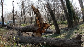 Пламнаха сухи треви край казанлъшкия военен полигон „Тюлбето“