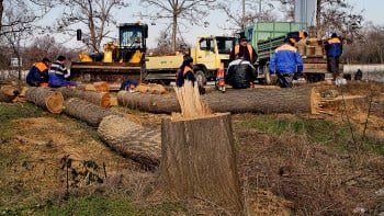 Горите на Пловдив умират, на Гребния канал започва спешно обследване (СНИМКИ)