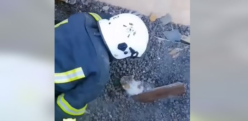 ИЗВЪНРЕДНО! Пожар избухна в сграда в в столичния квартал Банишора