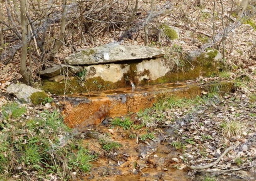 Лековита вода тече край пловдивското село Свежен