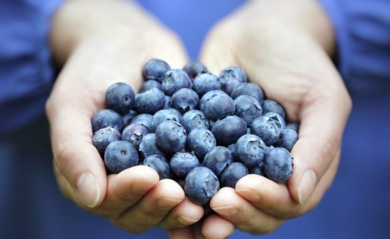 ДАР ОТ ПРИРОДАТА: Този плод сваля високото кръвно за часове