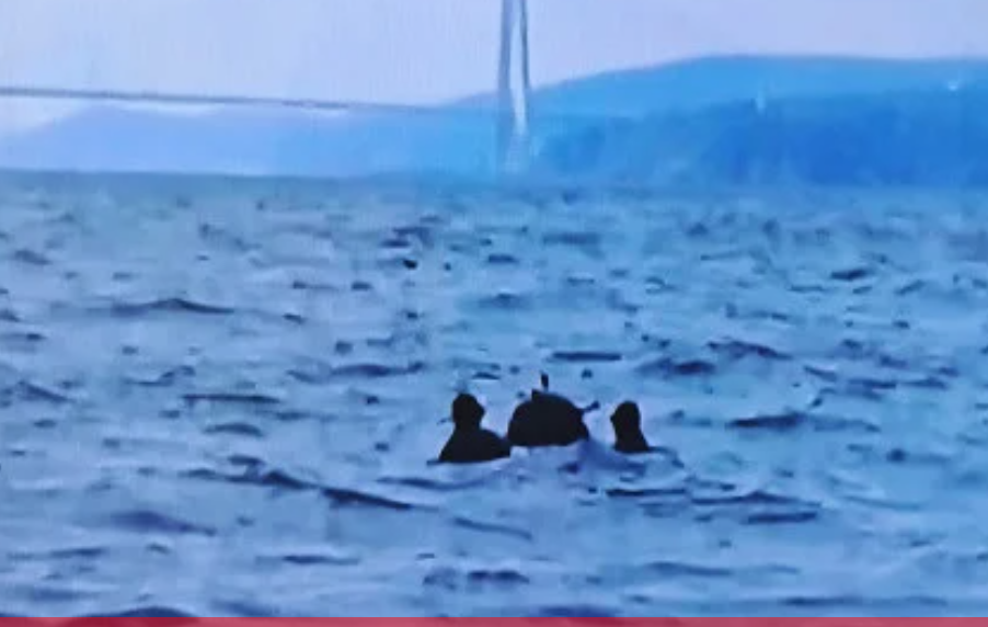 Военни унищожиха плаваща мина на 200 метра от брега при Тюленово