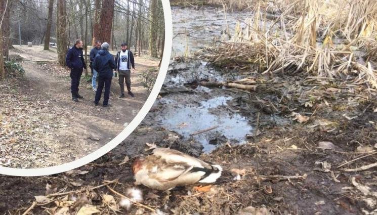 ЖЕСТОКОСТ: Стрелят по патици в Южния парк