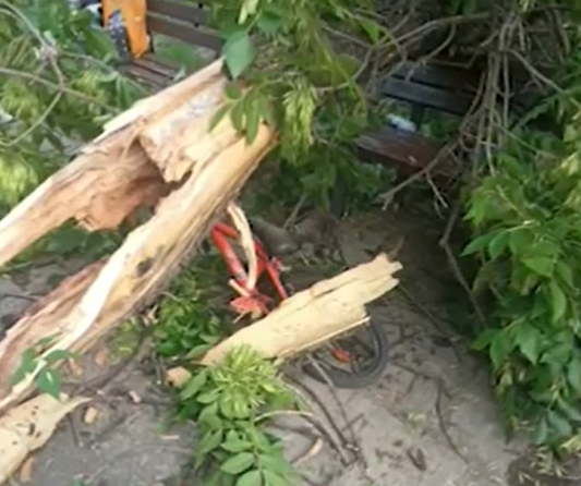 Паднал клон едва не уби майка и дете в Пловдив