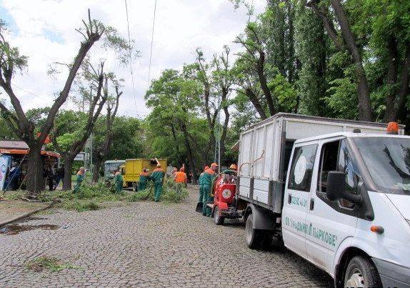 Разследват сделка за 1 млн. лева в пловдивските „Градини и паркове”