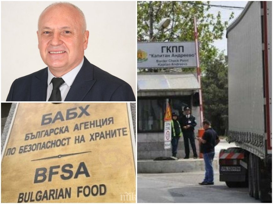 НЕВИЖДАН ХАОС! БАБХ блокира работата на граничния пункт Капитан Андреево! Агенцията отказва да изпълни решение на ВАС - спря трафика на тирове с храни от Турция (ВИДЕО)