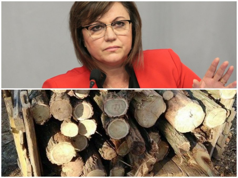 ОГЪН ПО НИНОВА: Допуснат е сериозен дефицит на дървен материал в България