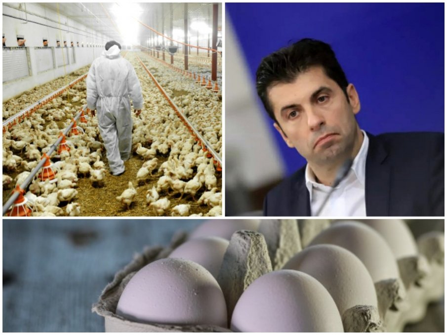 НАПРЕЖЕНИЕТО В ДЪРЖАВАТА РАСТЕ: И птицевъдите недоволни от Киро - излизат на протест, ще мятат и яйца
