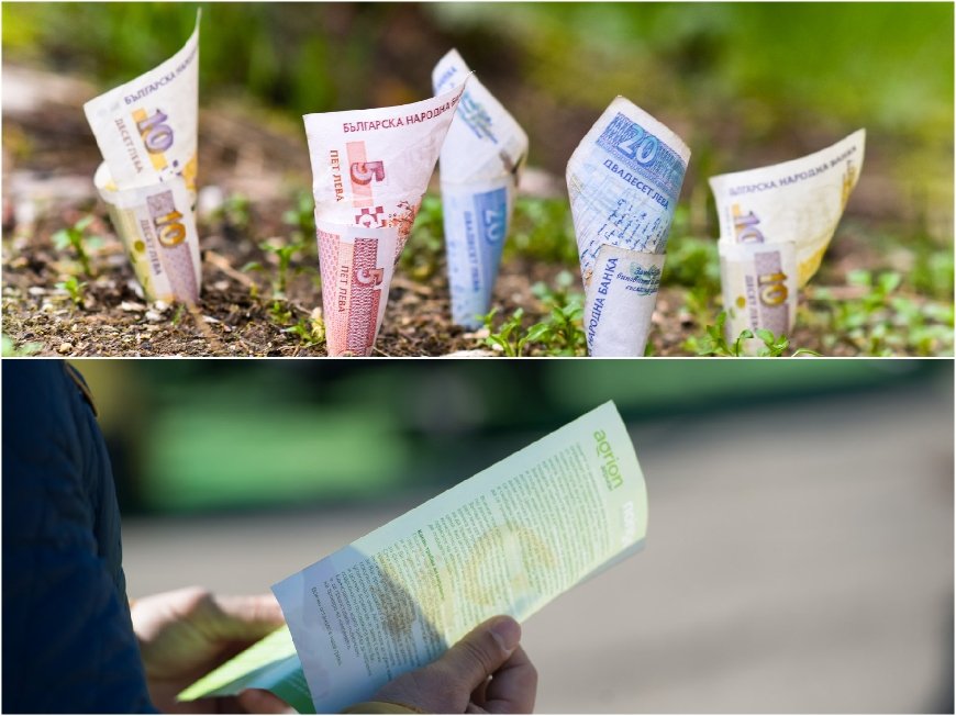 Хиляди декари плодородна земя излизат на пазара