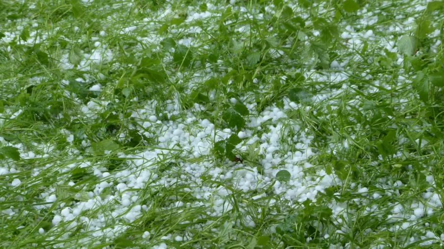 Комисия описва щетите след пороя във Вършец