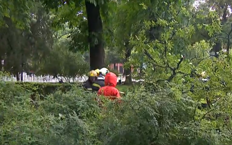 ОТ ПОСЛЕДНИТЕ МИНУТИ: Дърво падна върху 17-годишно момиче пред Народния театър