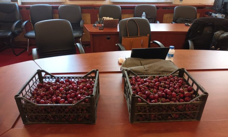 БСП: Две щайги кюстендилски череши за журналистите