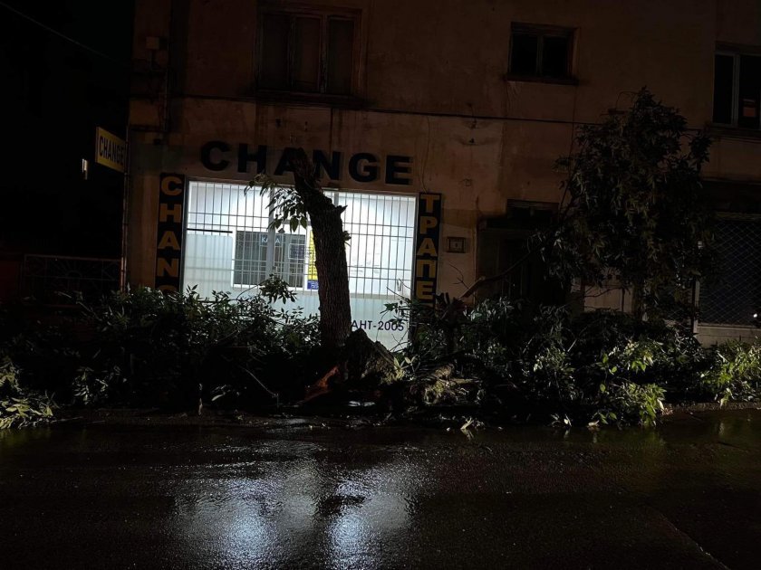 Силна буря затвори пътища в Сандански, остави Мелник без ток