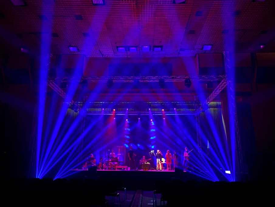 Грип повали концертите на Лили