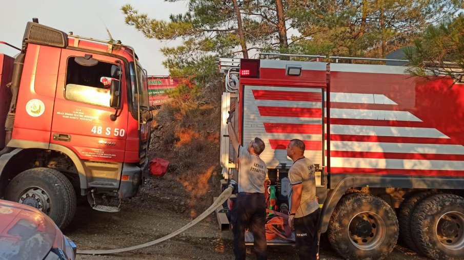 Пожар вилнее край Дупница