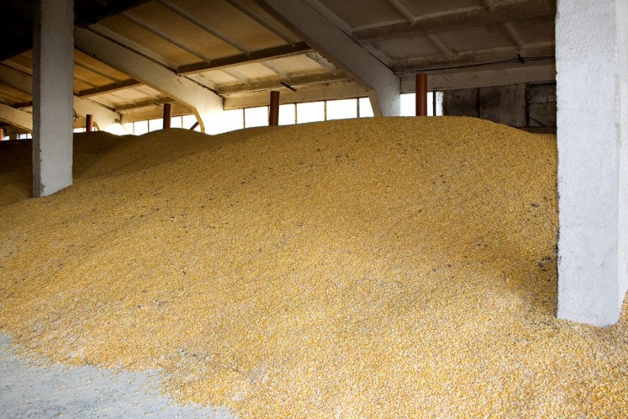 Разкриха кражба на 200 кг фураж от животновъдна ферма