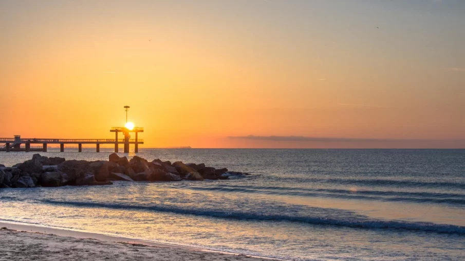 Посрещнахме Джулай морнинг (ВИДЕО)