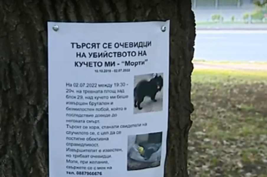 ЗВЕРСТВО: Пребиха до смърт домашно куче на площадка в София