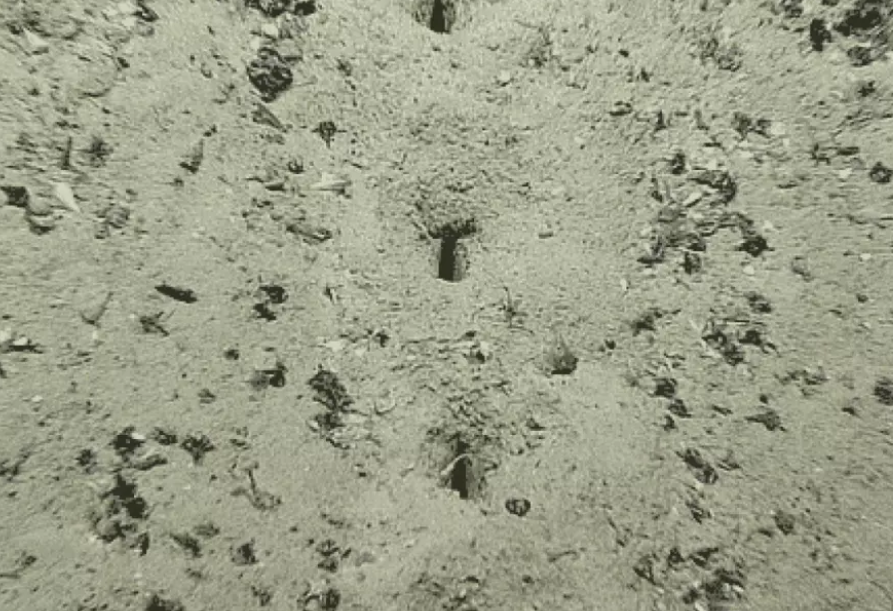 ЗАГАДКА: Откриха линии от загадъчни дупки на дъното на Атлантическия океан (СНИМКИ)