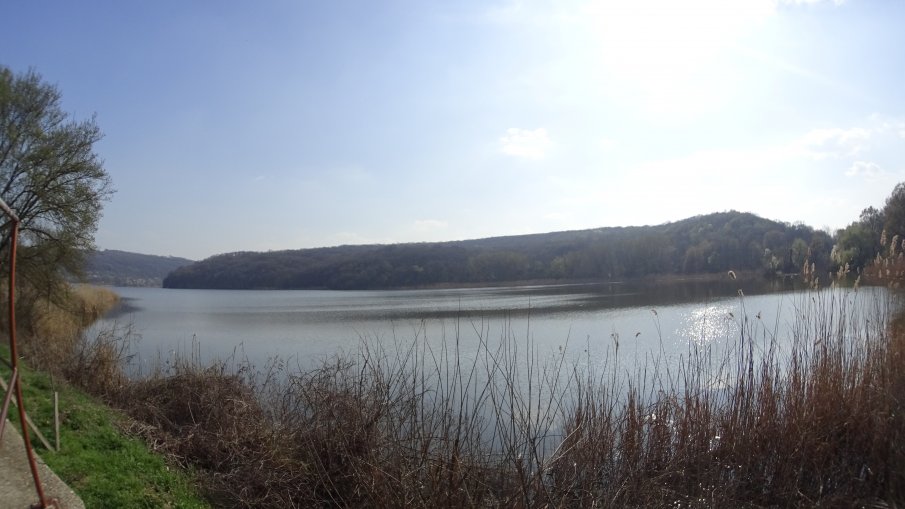 В Силистра подготвят преплуване на река Дунав на 6 август