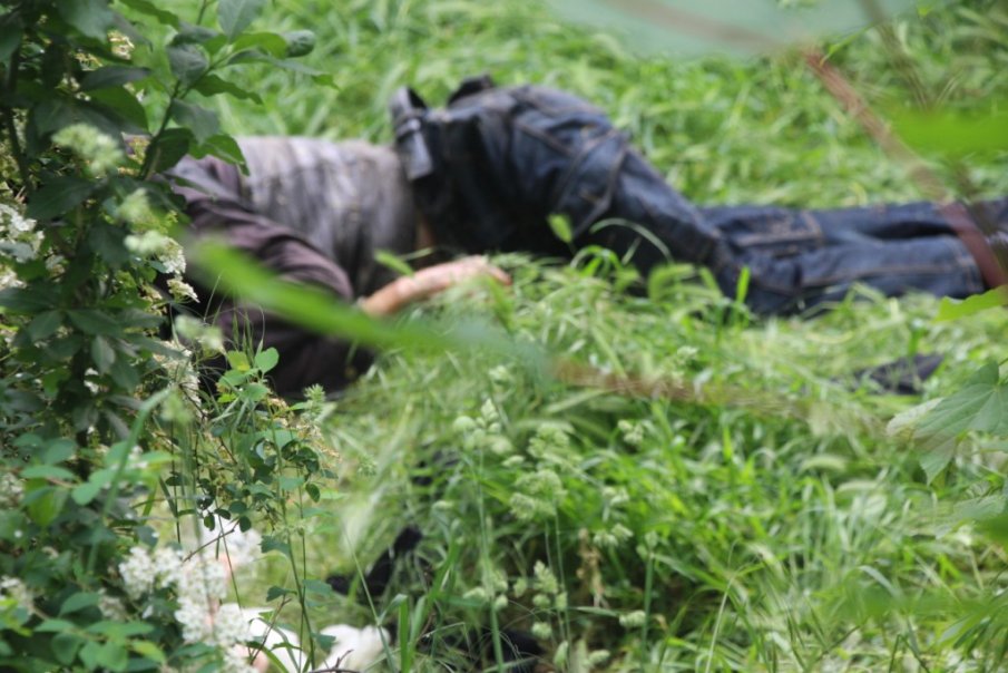 След 4 дни търсене в гората: Откриха мъртъв, свит под храсти, овчаря Янко от Лиляново