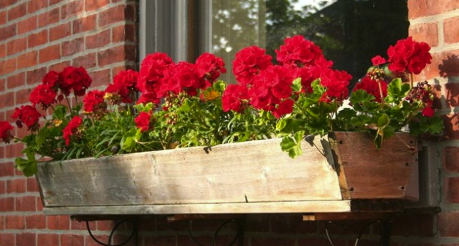 Сложете това до прозореца и няма да видите комар в дома си