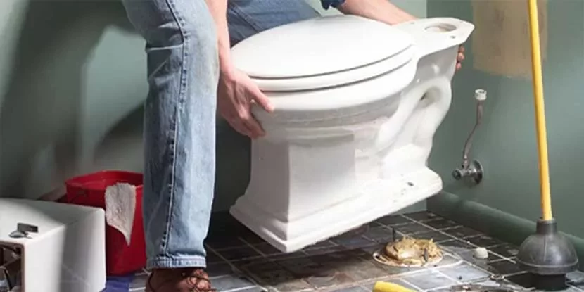 Каналджия съветва: Никога не изхвърляйте това в тоалетната!