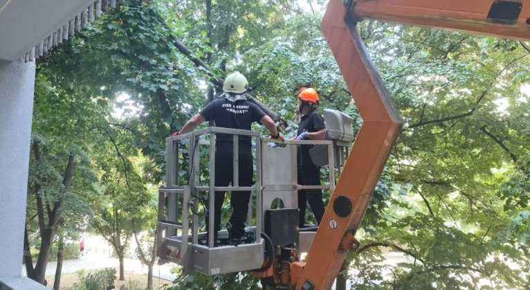 Пожарникари обезопасиха детска площадка в Пловдив