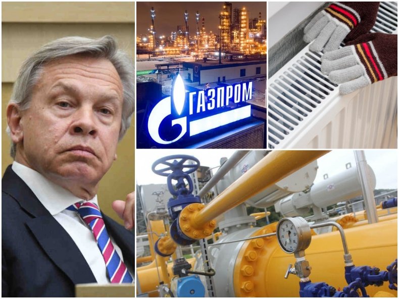 МОСКВА СМРАЗИ РАДЕВ И ПРАВИТЕЛСТВОТО МУ! Руски сенатор категоричен: Нека неприятелска България изкара зимата без нашия газ, няма да възобновим доставките