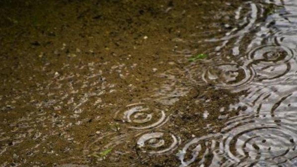 Порой удави Одрин