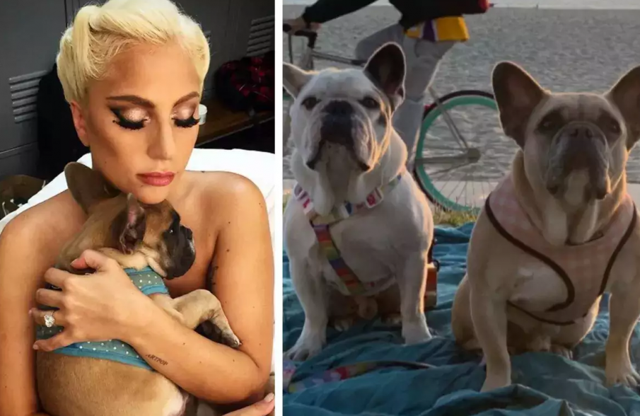 6 години затвор за един от похитителите на булдозите на Лейди Гага