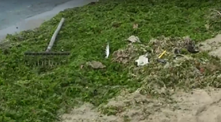 ГНУСНО: Болнични отпадъци изплуваха на плаж във Варна
